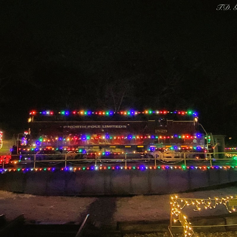 Festive Train Rides for the Family