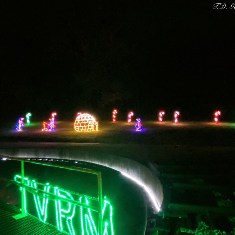 Book Your Festive Lights Train Journey