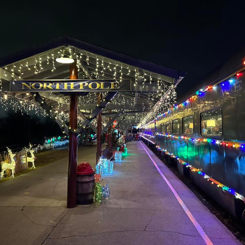 Keep the Festive Spirit Alive with TVRM's Post-Holiday Train Rides!