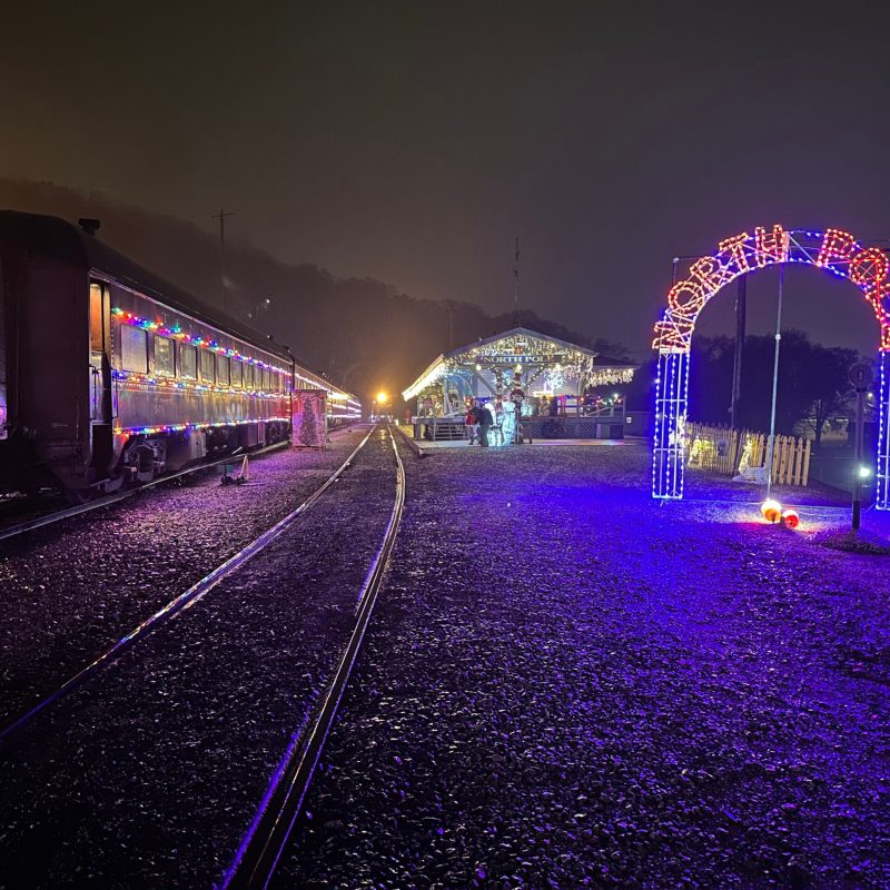 Experience Winter's Glow: Magical Holiday Lights Train Adventure