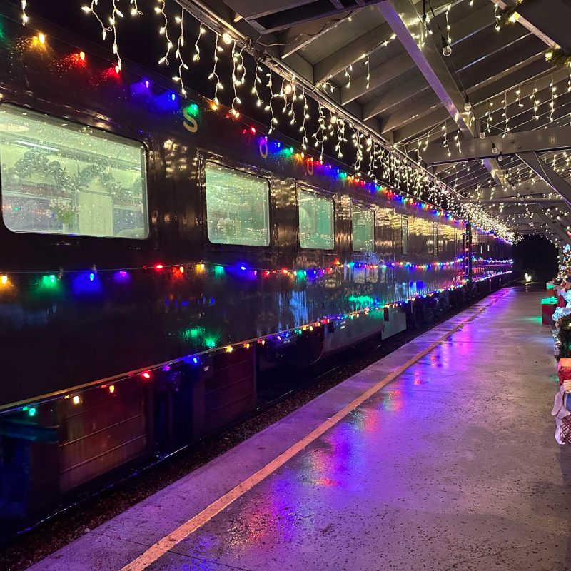 Sparkling Journey: Holiday Lights Train Ride After Christmas