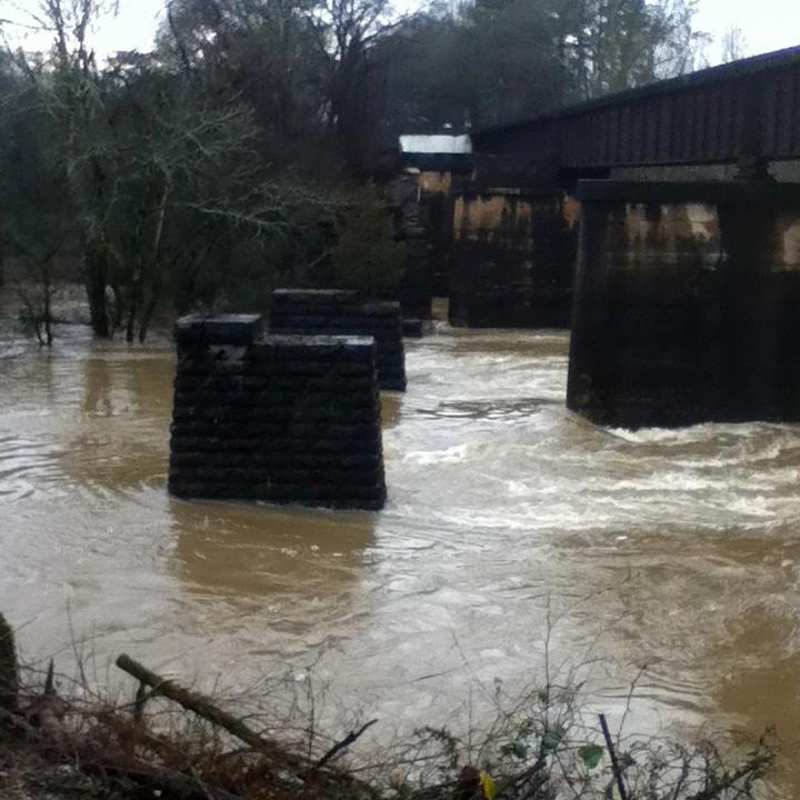 The Evolution of Bridge Engineering: 1859 to 1910