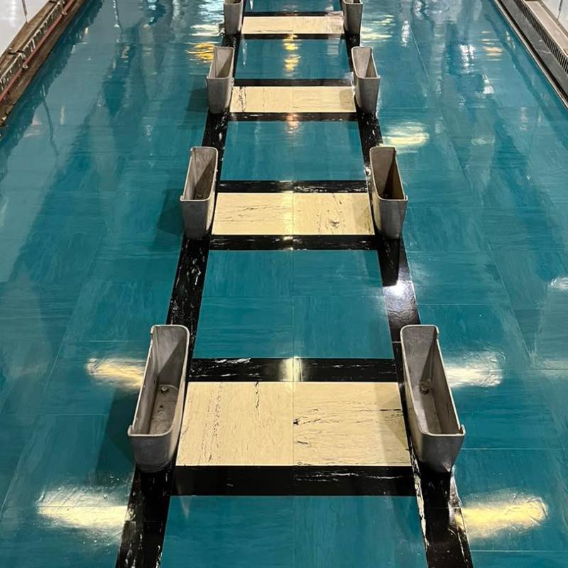 Coach 832 Overhaul: Nearing Completion at TVRM