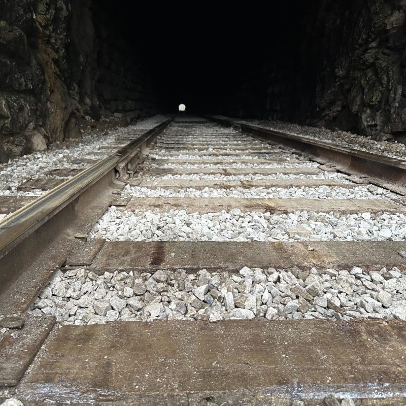 Discover Diesel 1829's Military Past at TVRM!