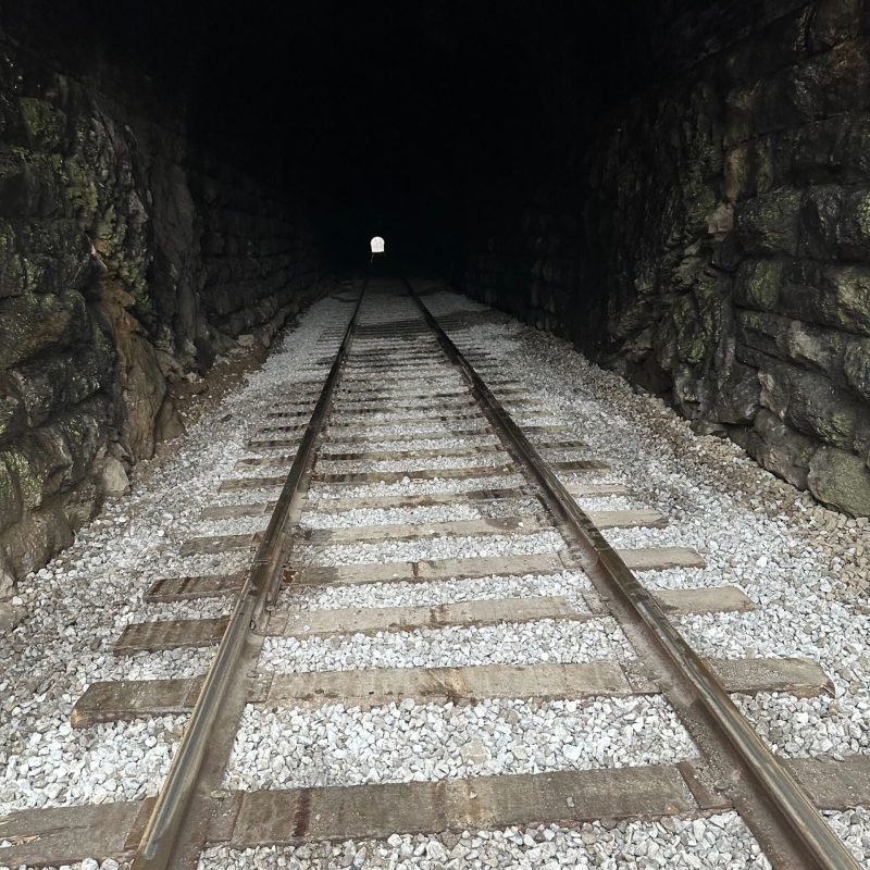 Valentine Treats & Vintage Trains at TVRM!