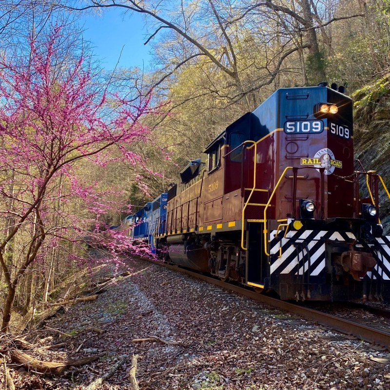 Hiwassee Railroad Adventures: Book Today
