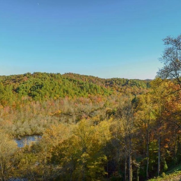 Book Your 2024 Hiwassee Scenic Train Ride Today