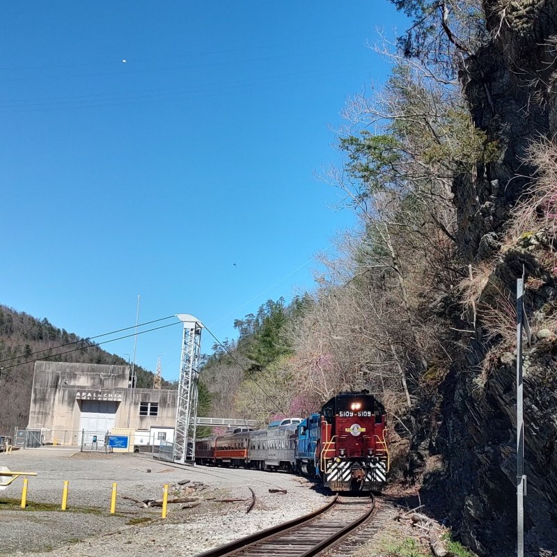 Hiwassee Loop: Scenic Springtime Train Ride Adventure