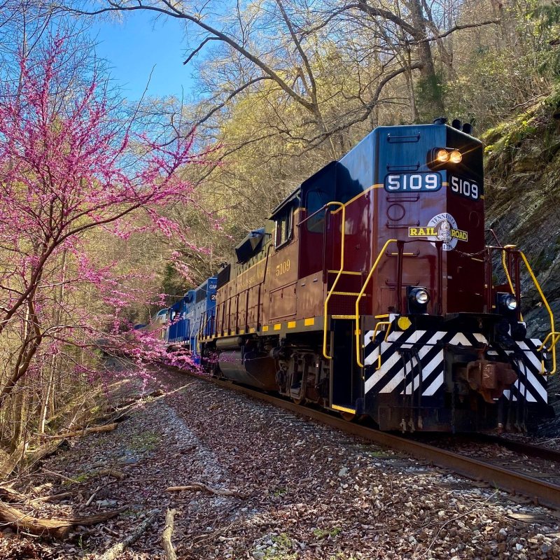 Copperhill Special: 8-Hour Train Ride to Copperhill, TN