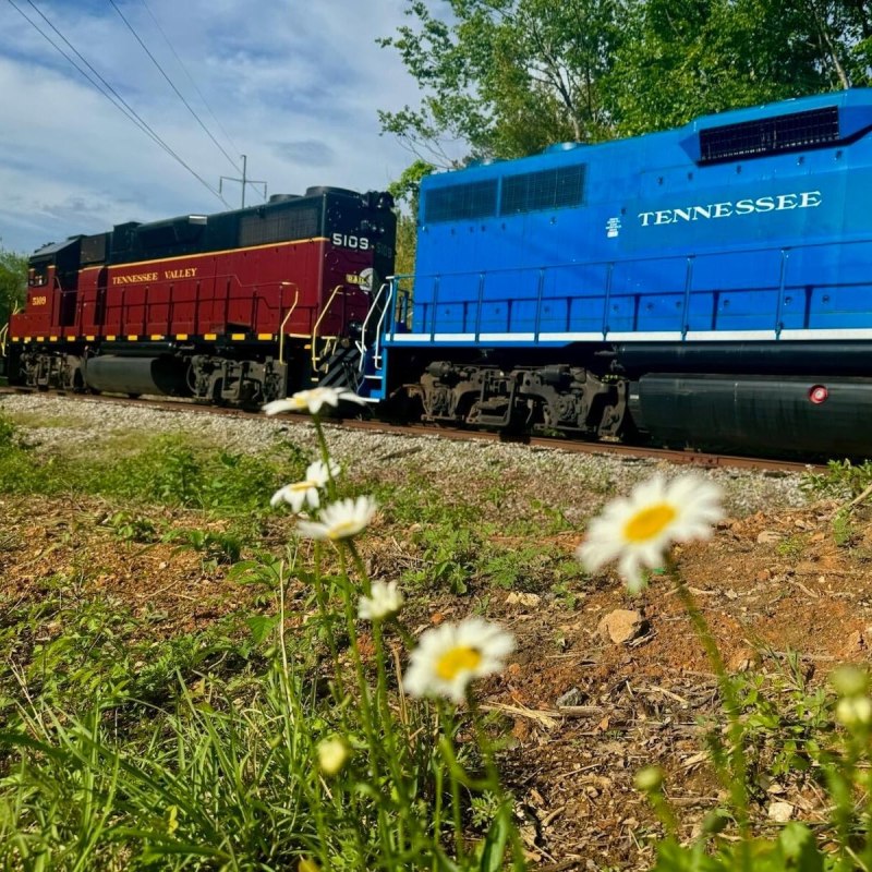 Explore the Lower Hiwassee River Gorge by Train
