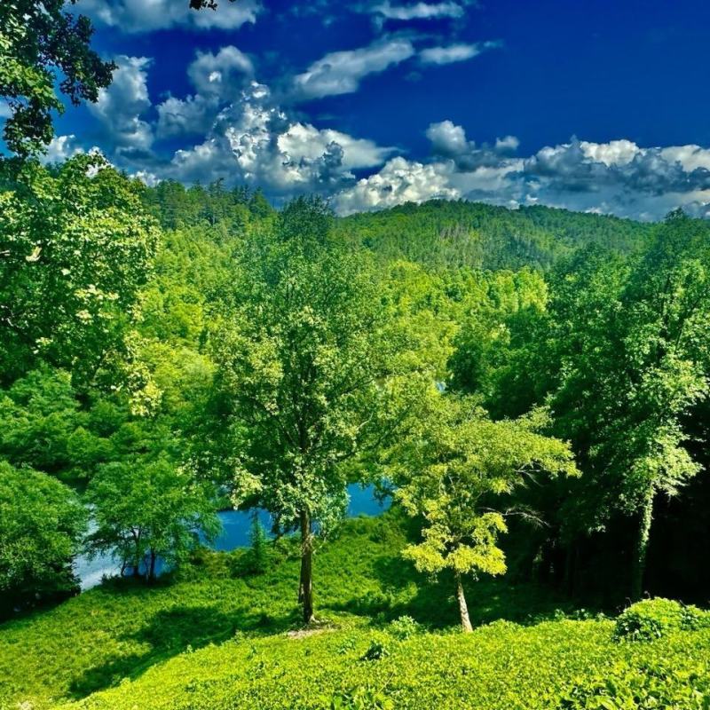 Explore East Tennessee with Hiwassee River Scenic Railroad