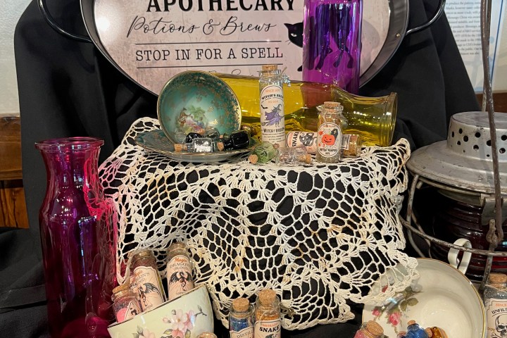 Vintage apothecary display with bottles, scrolls, teacups, and a Black Cat Apothecary sign.