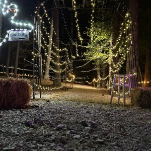 Experience Enchantment on the Rails with Wizards and Spells