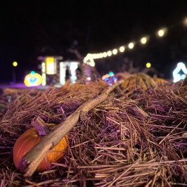 Discover the Enchanted Forest and Wizards Way Village