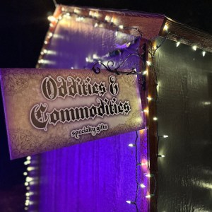 Oddities & Commodities: Here, visitors can find specialty gifts and rare magical objects.
