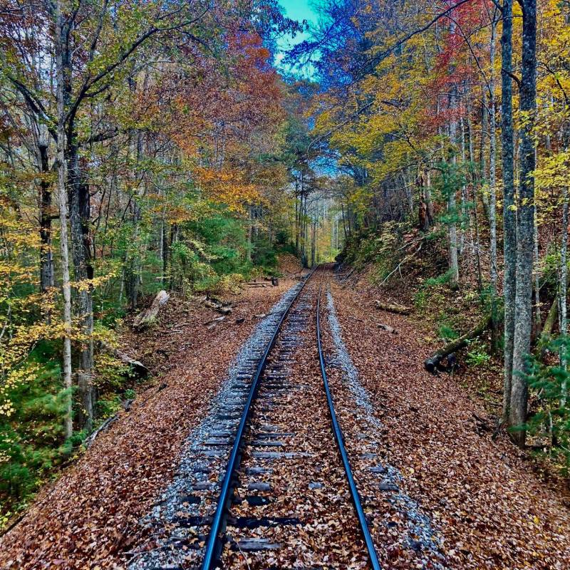 Cozy Autumn Train Rides: Missionary Ridge Local & Hiwassee Loop