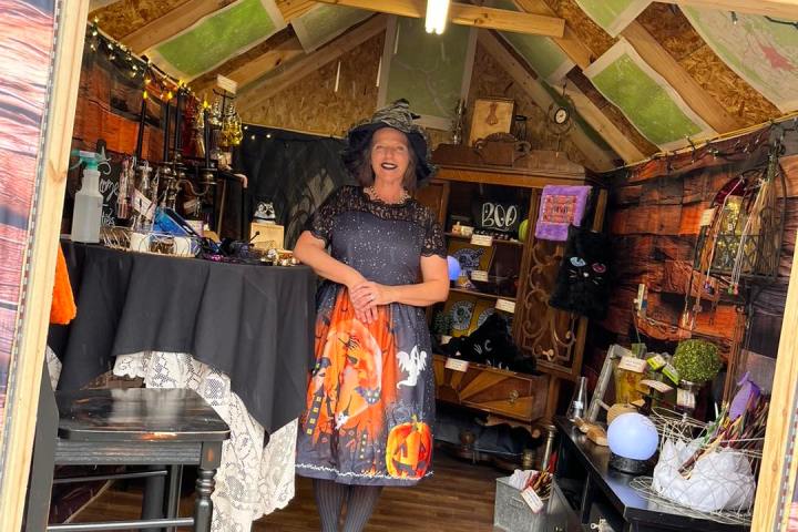 Join Wizards Way Train: Family Fun Await!