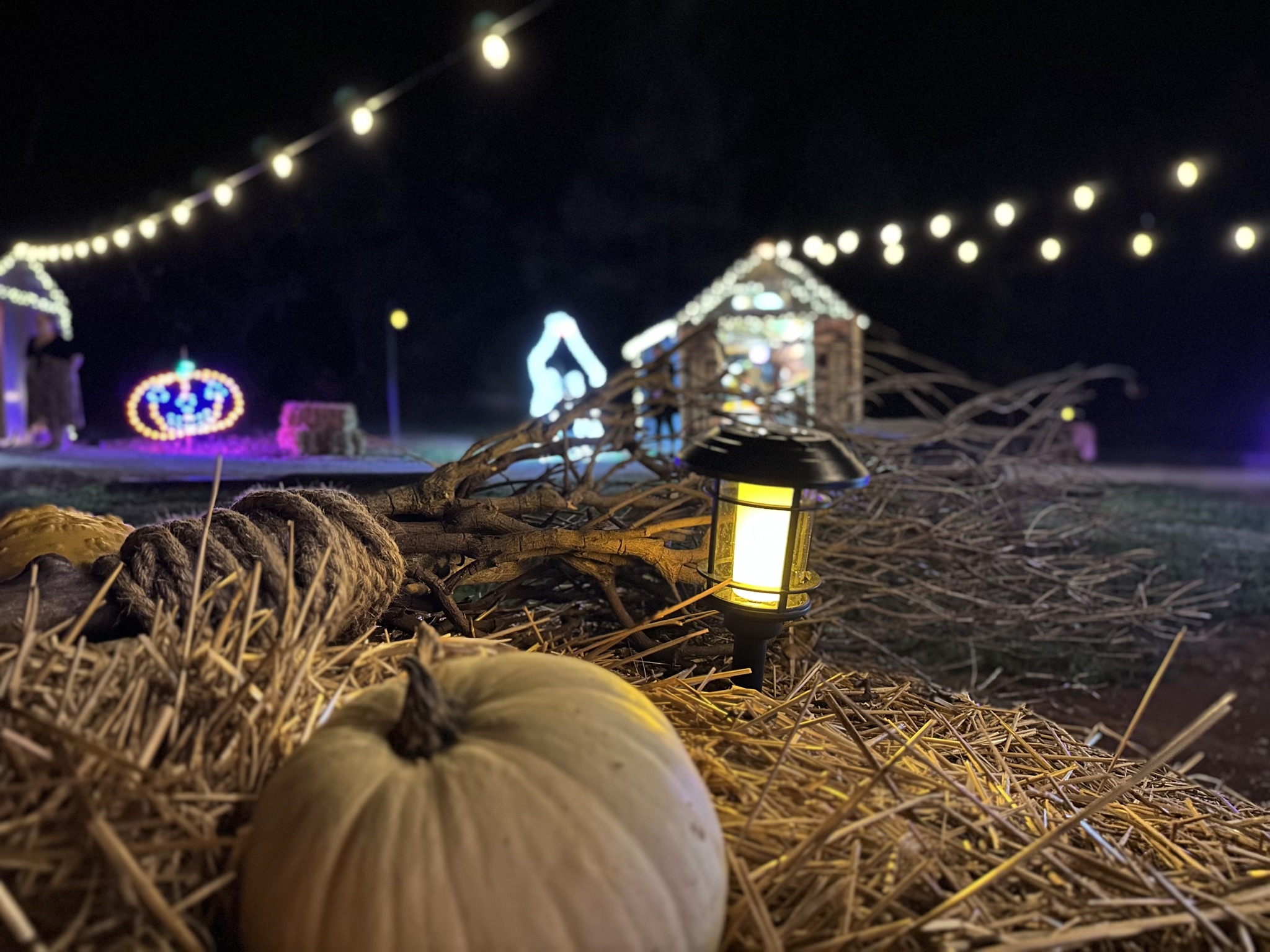 Autumn Magic at TVRM: Train Rides, Fall Fun, and Dining