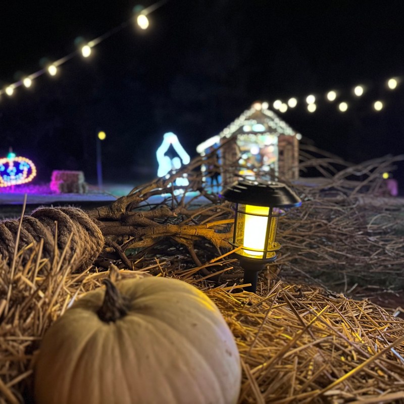 Don’t Miss TVRM’s Enchanting Rails, Wizards, and Spells Event This Weekend!