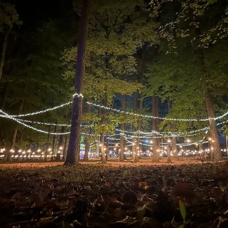 Join the Fun at Rails, Wizards, and Spells: TVRM’s Magical Fall Adventure!