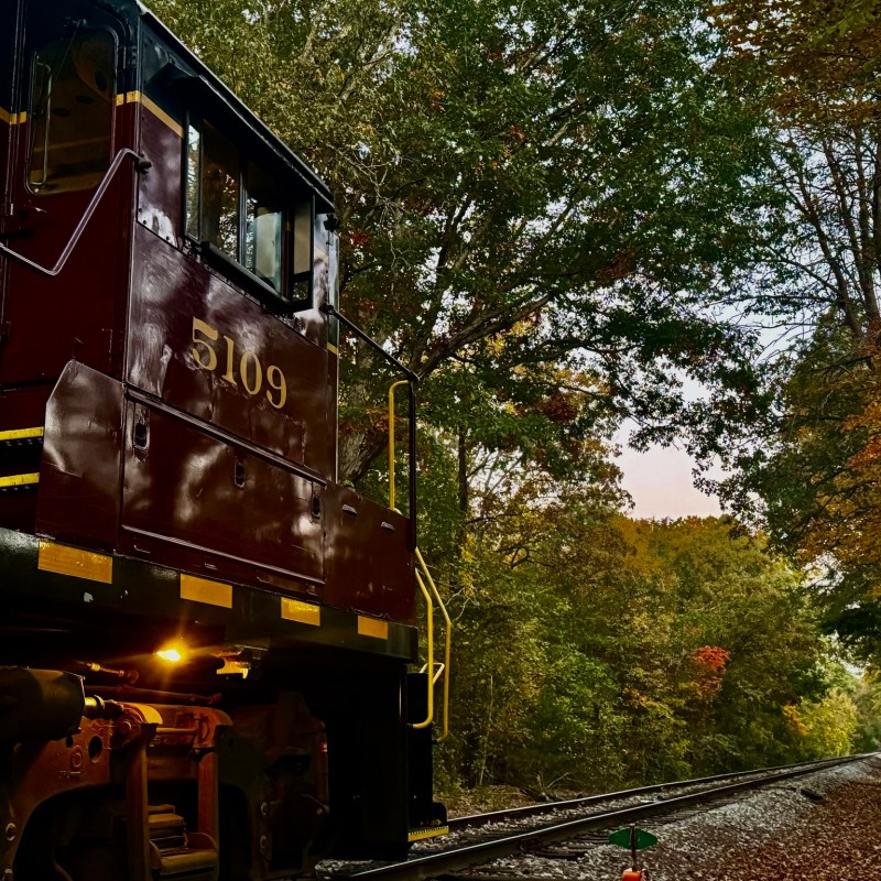 All Aboard for Fall Adventures: Hiwassee Loop & More