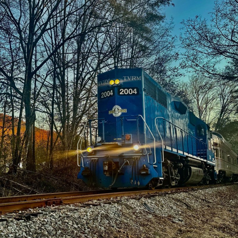 Seasonal Cheer with Santa Onboard