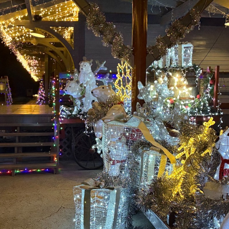 Holiday Lights Train: TVRM Event