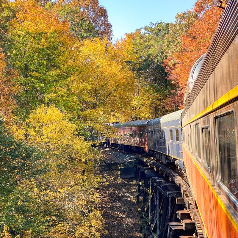 Journey Through Time on the Copperhill Special Train Ride