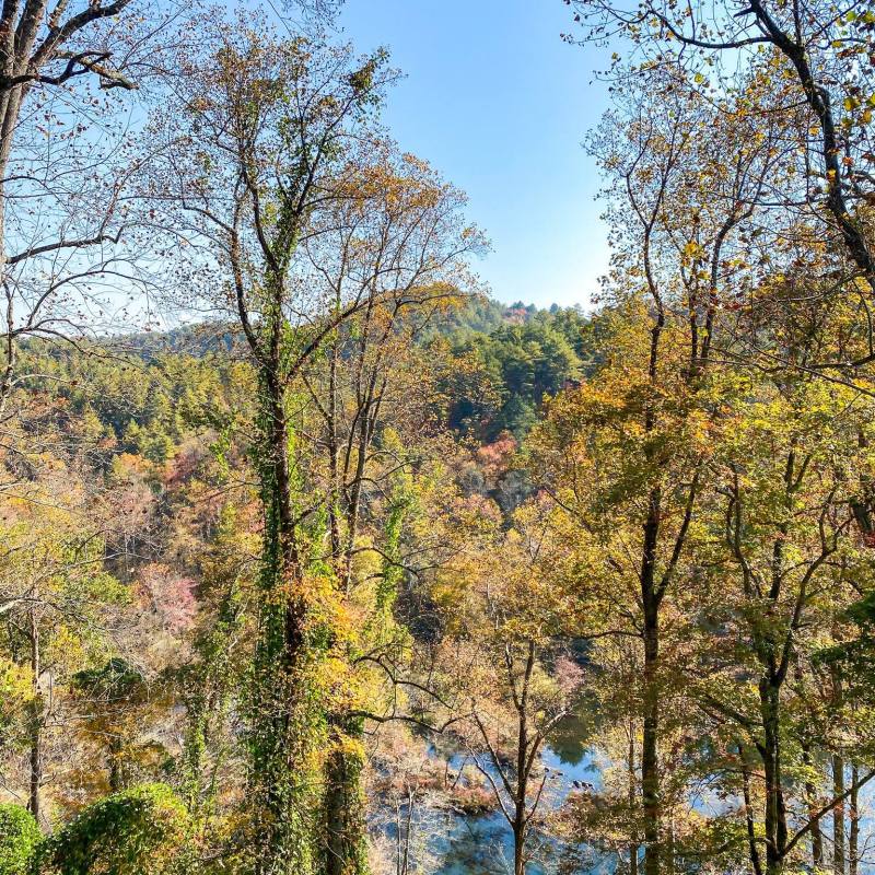 Scenic Tennessee Train Rides for Spring