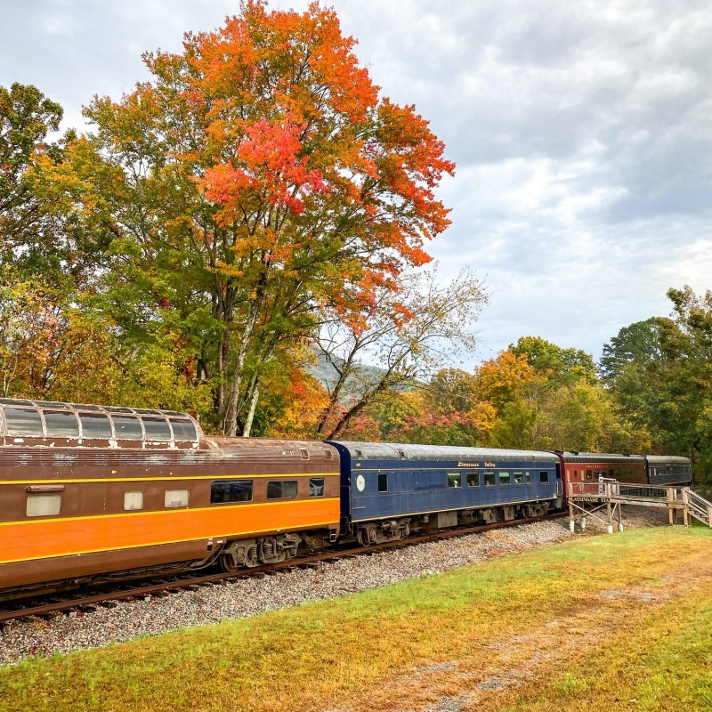 Ride Through the Gorge on a Classic Rail Adventure