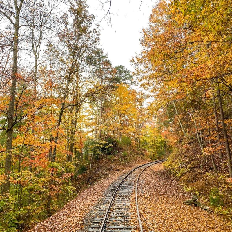 Hiwassee Gorge Limited: Back for a Two-Week Run