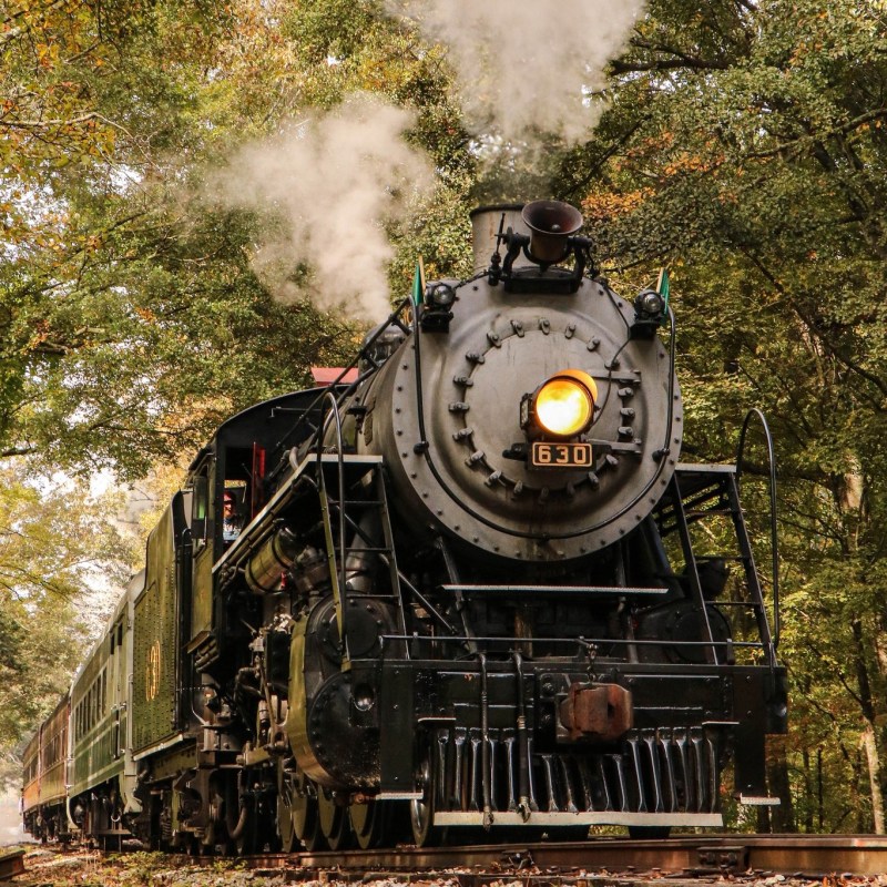 All Aboard for TVRM Weekend Fun