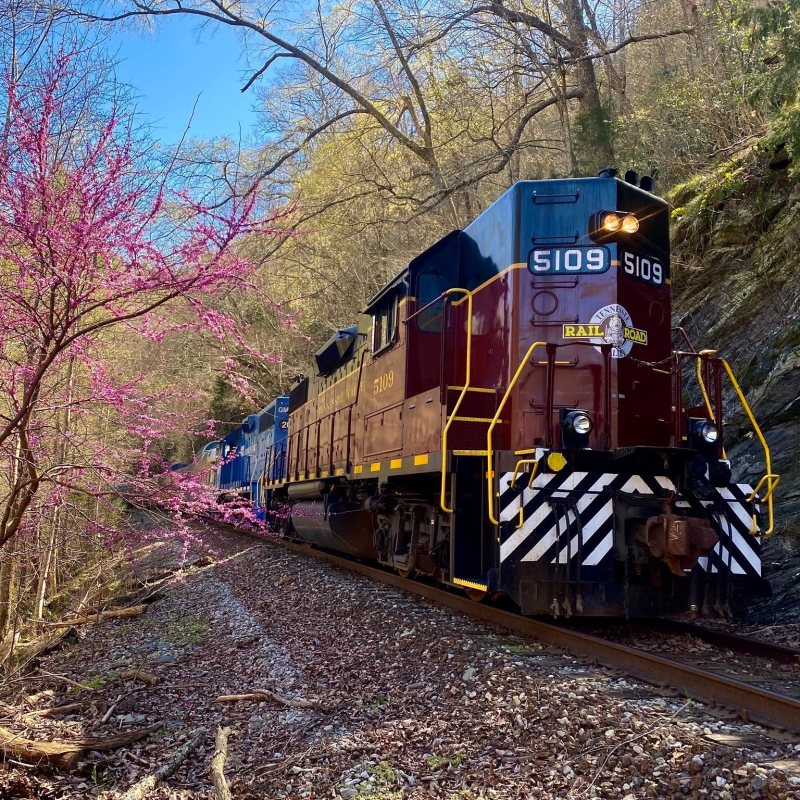 Rain or Shine, These Train Trips Run On Time
