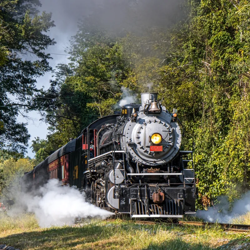 Georgia Fall Foliage Train with Overnight Stay