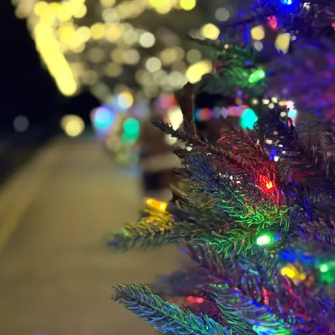 Elegant holiday décor aboard the Tennessee Valley Railroad Christmas Dinner Train, featuring a close-up of a Christmas tree with glowing lights.