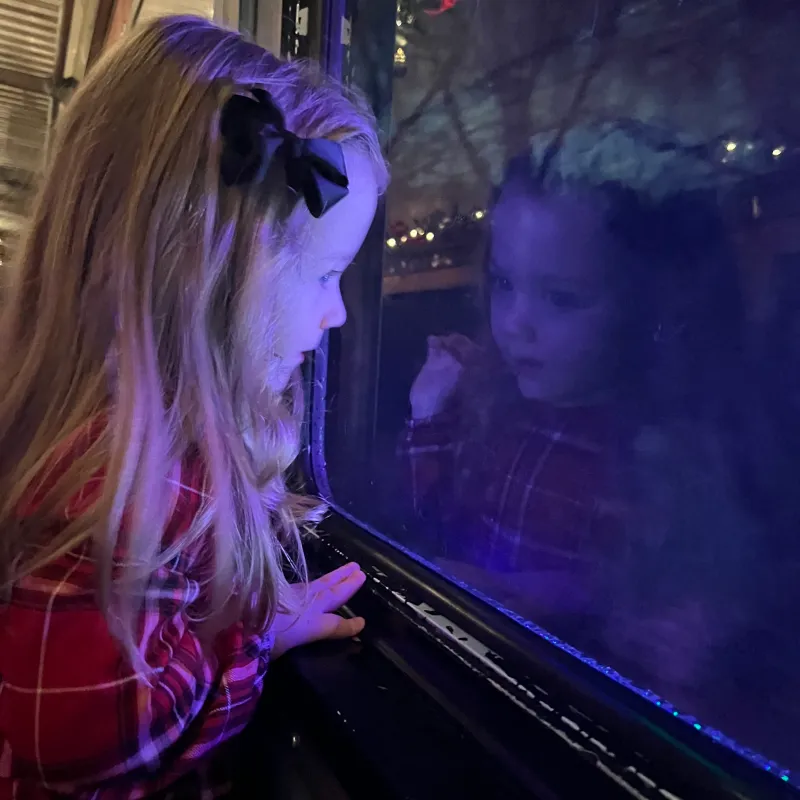 Child in a red plaid dress looking out a window aboard a Tennessee Valley Railroad Museum Christmas train