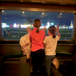 Guests posing for photos at illuminated lantern displays during the SeaLight Festival in Chattanooga