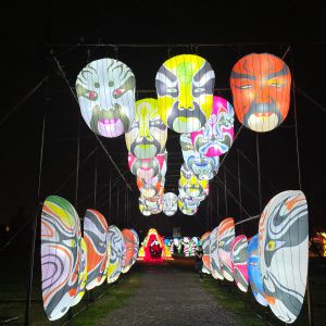 Illuminated butterfly lantern display at the SeaLight Festival in Chattanooga