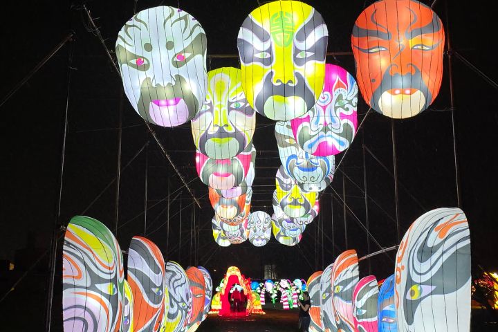 Illuminated butterfly lantern display at the SeaLight Festival in Chattanooga