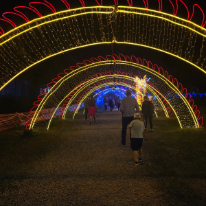 People walking through arches of colorful lights at night.
