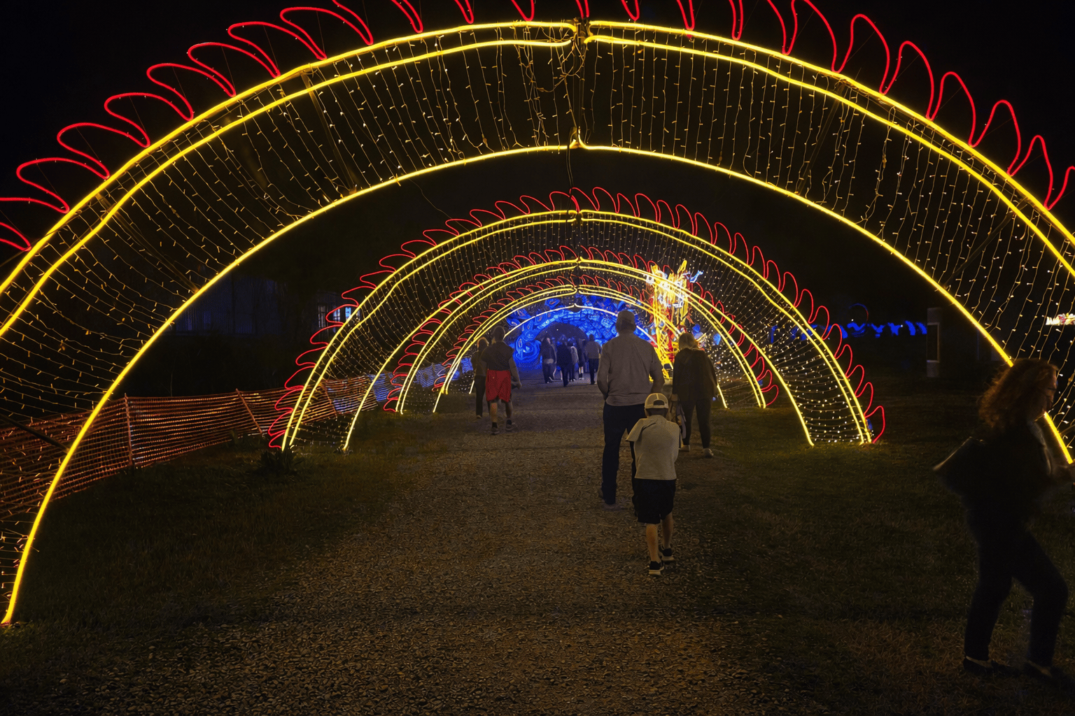 SeaLight Festival Train Ride — Family fun in Tennessee Valley Railroad Museum · Chattanooga, Tennessee