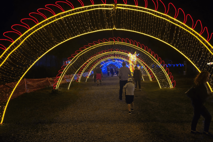 Guests walking through illuminated lantern arches at the SeaLight Festival in Chattanooga