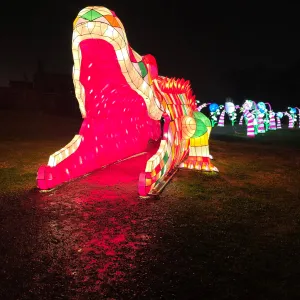 Illuminated red dragon lantern display at the SeaLight Festival in Chattanooga