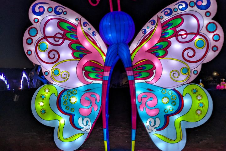 Illuminated butterfly sculpture glowing with colorful lights at the SeaLight Festival