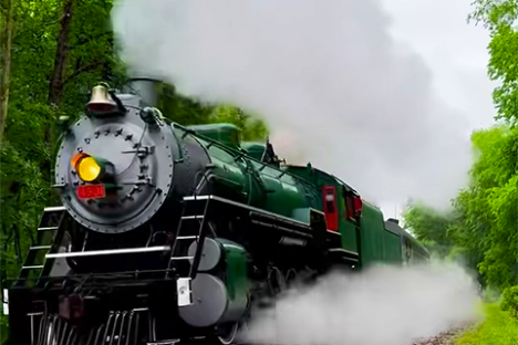 Green steam locomotive emitting smoke on a track through a lush forest.