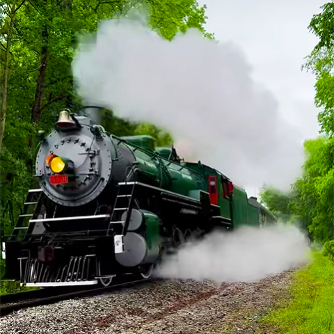 Green steam locomotive emitting smoke on a track through a lush forest.